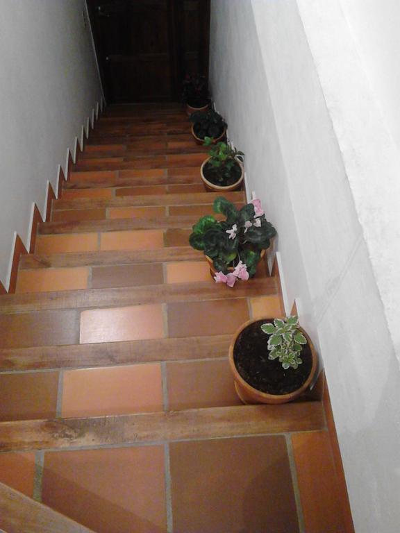 Cemandy Hostal Villa de Leyva Bagian luar foto